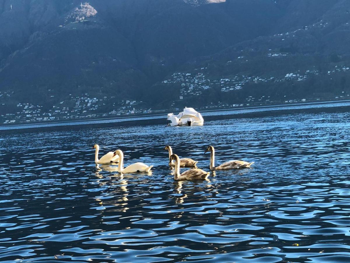 Appartamento Casa Sibylle Bei Locarno Esterno foto